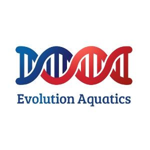 Testimonial from Coach Mark Minier from Evolution Aquatics (Charlotte, NC)