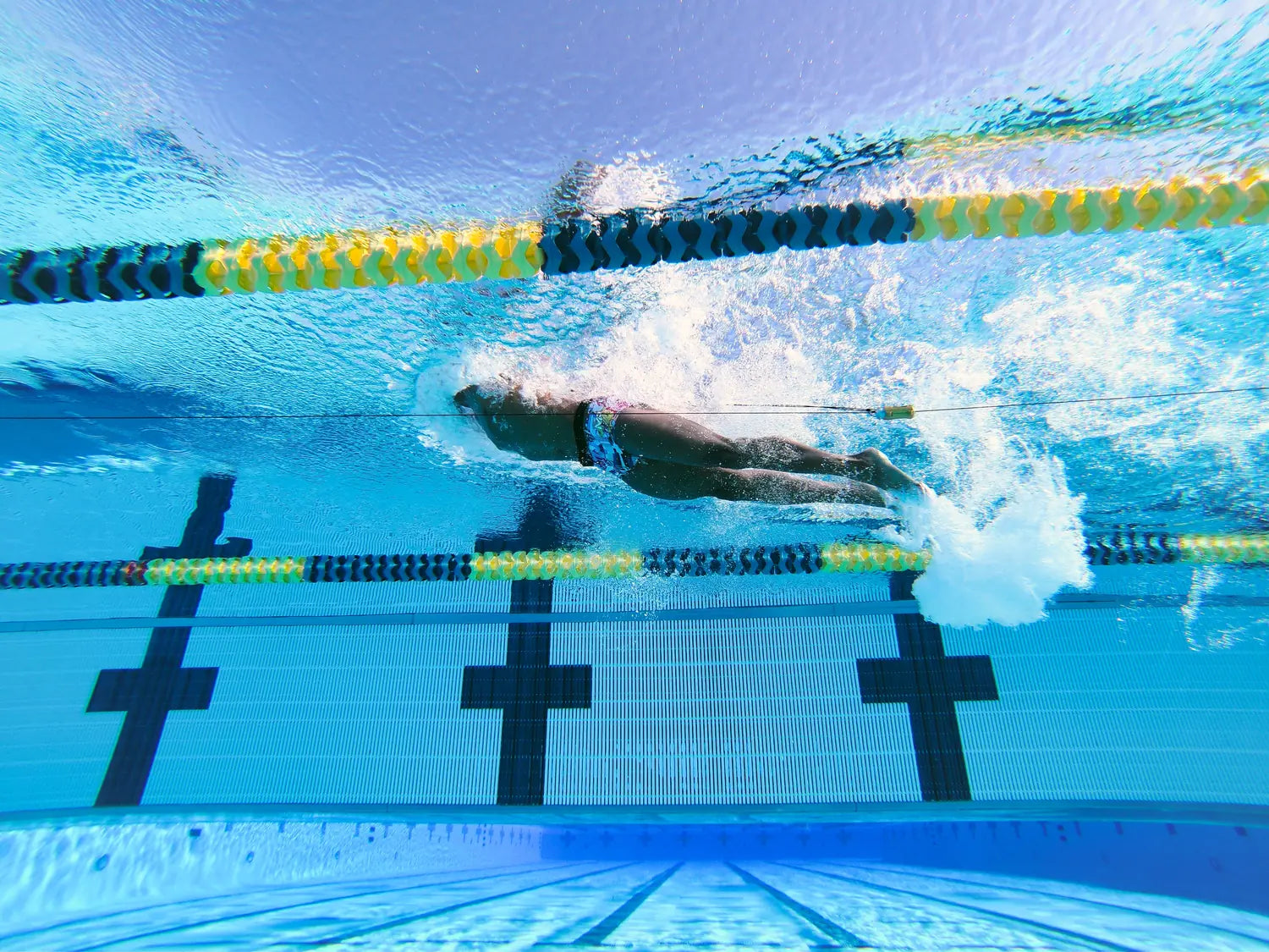 Butterfly training image