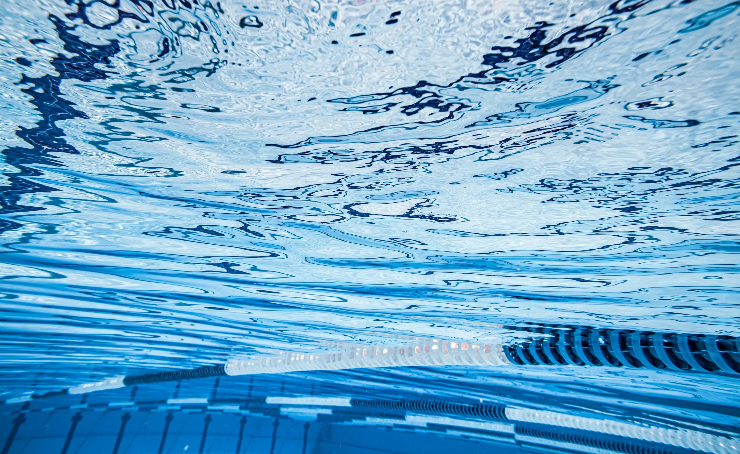 Competitive Swimmers Train Smarter Background Image